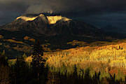 The Golden Light #1 Photograph by John De Bord