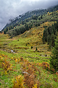 The Wimmertal in Tirol #6 Photograph by Bernd Laeschke The Wimmertal in Tirol #6 Photograph by Bernd Laeschke