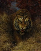 Tiger In The Grass Painting by William Huggins