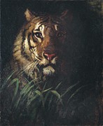 Tigers Head Painting by Abbott Handerson Thayer