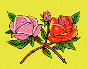 Two Roses #1 Drawing by CSA Images