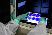 Virology Laboratory #1 Photograph by Science Photo Library