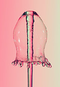Water Bell Fountain #1 Photograph by Ted Kinsman