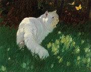 White Cat And Butterflies Painting by Arthur Heyer