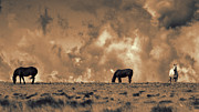 Wild and Free #1 Photograph by Jim Garrison