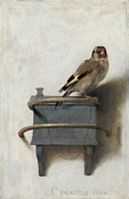 The Goldfinch Painting by Carel Fabritius The Goldfinch Painting by Carel Fabritius