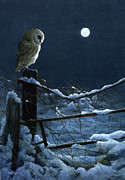 1074 Silent Night Barn Owl Painting by Jeremy Paul