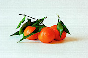 11--01-13 STUDIO. 3 Clementines Photograph by Lachlan Main