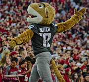#12 Butch #12 Photograph by Ed Broberg