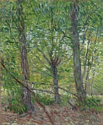 Trees Painting by Vincent Van Gogh