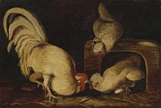 Farmyard Fowls Painting by John James Audubon Farmyard Fowls Painting by John James Audubon