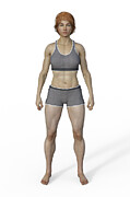 Female Mesomorph Body Type #2 Photograph by Kateryna Kon/science Photo Library