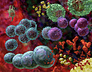 Immune Response Antibody 4 #2 Photograph by Russell Kightley