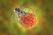 Nanorobots Attacking Cancer #2 Photograph by Science Photo Library