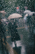 Rainy Day #2 Photograph by Reijiro