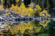 Reflection #2 Photograph by Kelley King