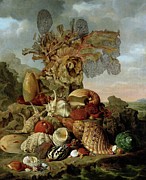 Shells And Marine Plants Painting by Henricus Franciscus Wiertz Shells And Marine Plants Painting by Henricus Franciscus Wiertz