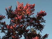 Signs of Fall #3 Photograph by Richard Thomas Signs of Fall #3 Photograph by Richard Thomas