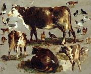 Studies Of Cows, Hens, Roosters, A Goose And A Sheep Painting by Rosa Bonheur Studies Of Cows, Hens, Roosters, A Goose And A Sheep Painting by Rosa Bonheur