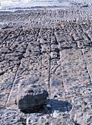 Wave-cut Platform #2  by Science Photo Library