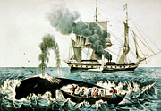 Whale Hunting #2 Photograph by Science Photo Library