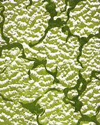Pattern #20 Drawing by CSA Images Pattern #20 Drawing by CSA Images
