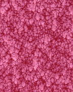 Pattern #214 Drawing by CSA Images