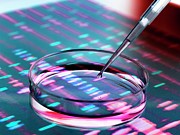 Genetic Research #22 Photograph by Science Photo Library