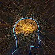 Neural Network #24 Photograph by Science Photo Library