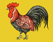 Rooster #26 Drawing by CSA Images Rooster #26 Drawing by CSA Images