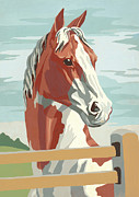 Horse #29 Drawing by CSA Images Horse #29 Drawing by CSA Images