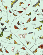 Butterflies #3 Drawing by CSA Images Butterflies #3 Drawing by CSA Images