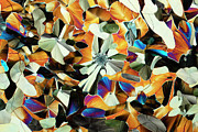 Dopamine #3 Photograph by Science Photo Library
