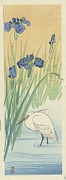 Egret Painting by Ohara Koson