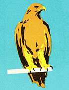 Falcon #3 Drawing by CSA Images Falcon #3 Drawing by CSA Images