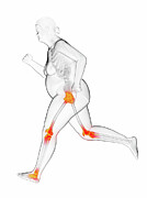 Overweight Woman Running With Painful Joints #3 Photograph by Sebastian Kaulitzki/science Photo Library