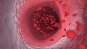 Red Blood Cells Flowing Through An Artery #3 Photograph by Science Photo Library