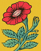 Red Flower #3 Drawing by CSA Images