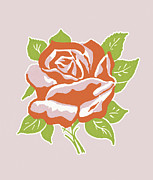 Red Rose #3 Drawing by CSA Images