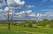Spring on Lake Constance #2 Photograph by Bernd Laeschke Spring on Lake Constance #2 Photograph by Bernd Laeschke