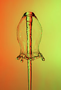 Water Bell Fountain #3 Photograph by Ted Kinsman