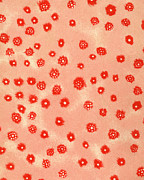 Pattern #306 Drawing by CSA Images Pattern #306 Drawing by CSA Images