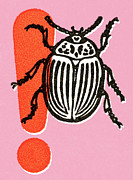 Insect #32 Drawing by CSA Images Insect #32 Drawing by CSA Images