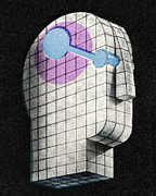 3D Model of a Head Drawing by CSA Images 3D Model of a Head Drawing by CSA Images