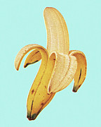 Banana #4 Drawing by CSA Images Banana #4 Drawing by CSA Images