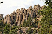 Custer State Park South Dakota  #4 Photograph by Susan Jensen