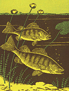Fish #4 Drawing by CSA Images Fish #4 Drawing by CSA Images