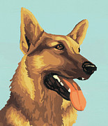German Shepherd #4 Drawing by CSA Images German Shepherd #4 Drawing by CSA Images