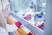 Lab Technician Working With Chemicals #4 Photograph by Science Photo Library