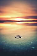 Lake Erie Sunset #4 Photograph by Dave Niedbala Lake Erie Sunset #4 Photograph by Dave Niedbala